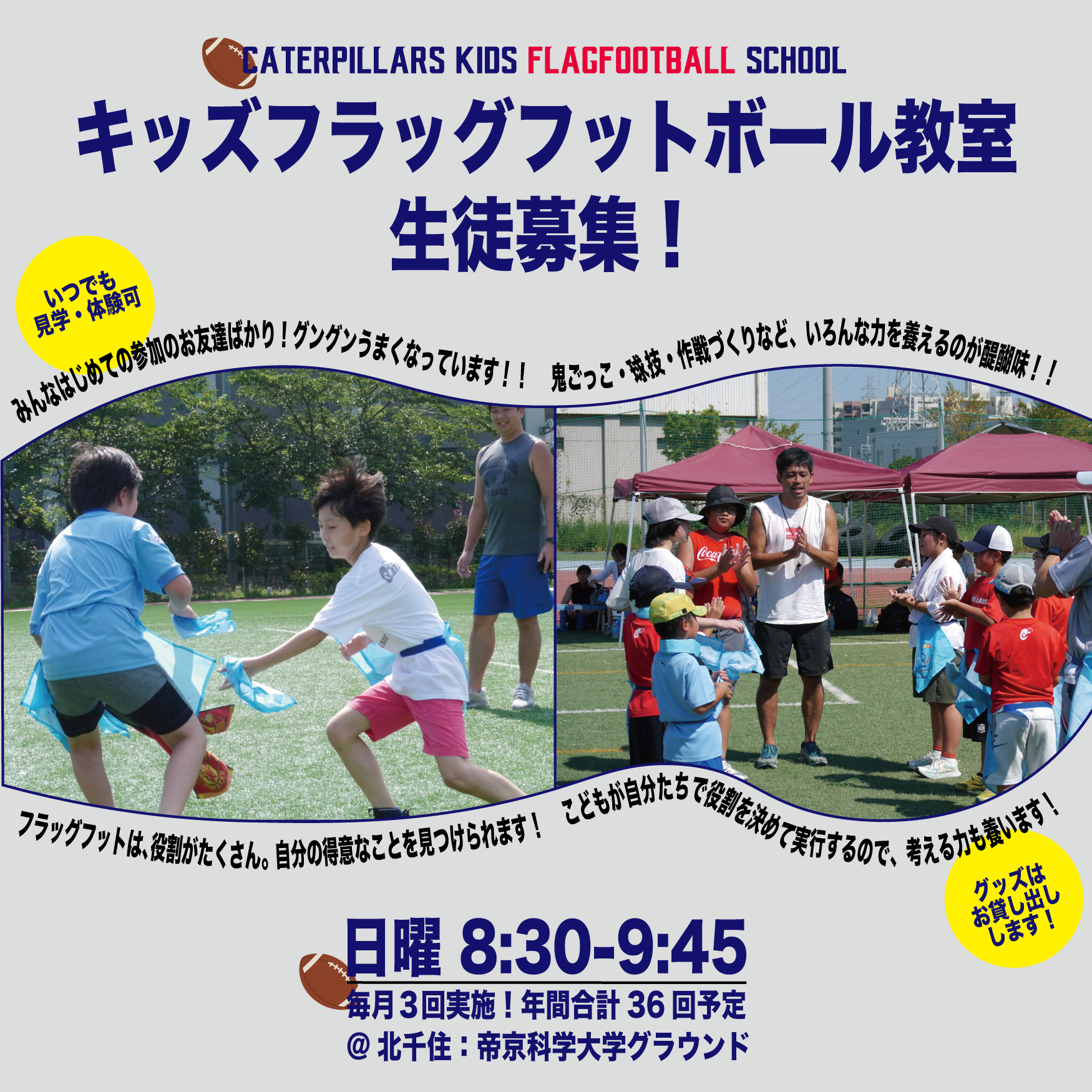 キャタピラーズジュニアの募集！ | 電通キャタピラーズ