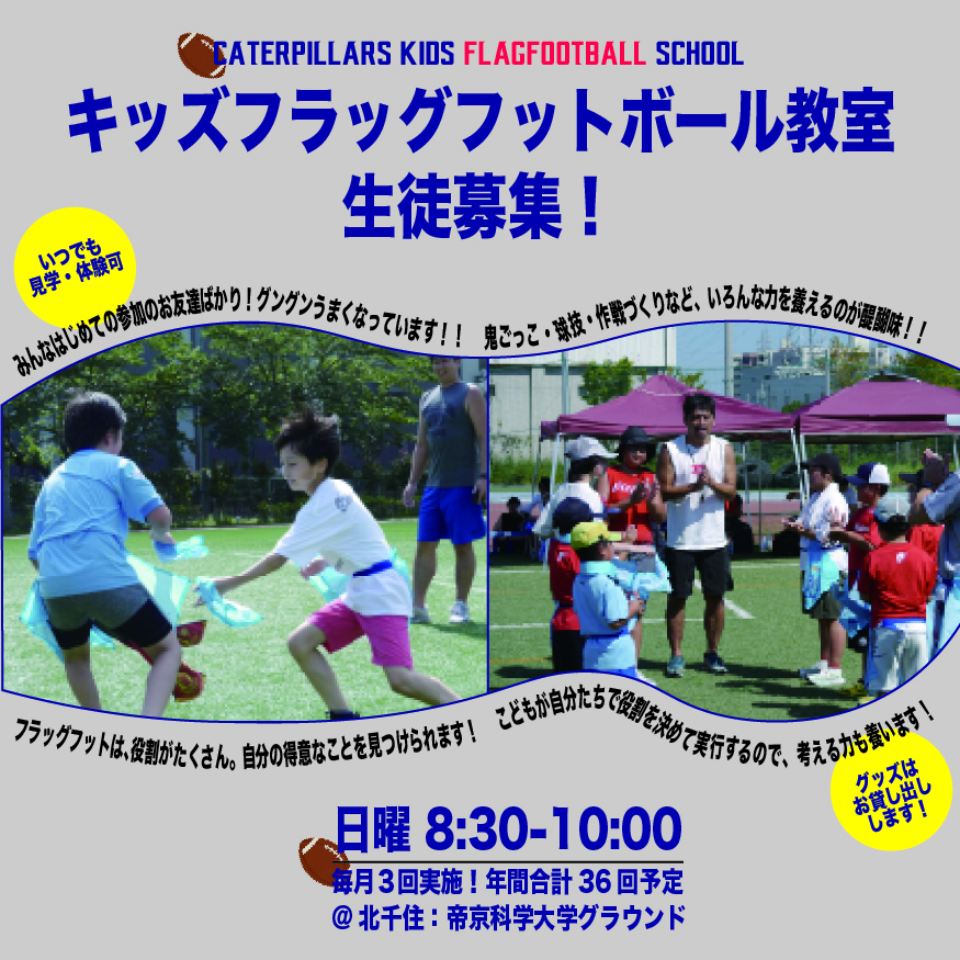 電通キャタピラーズNEWS：キャタピラーズジュニアの募集！